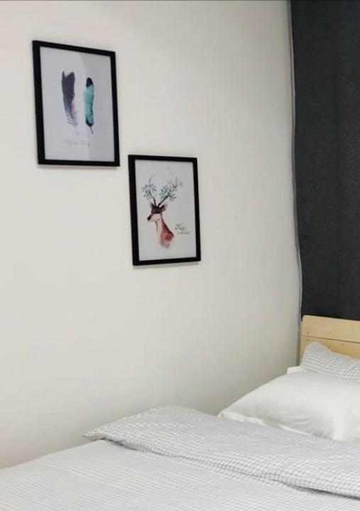 Miniinn Guest House 斯里巴加湾市 外观 照片